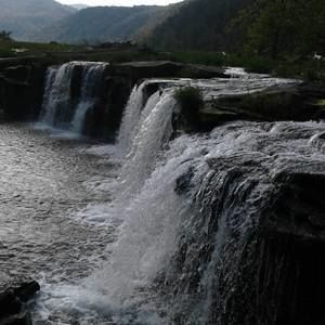 Meet your Posher, Jerry